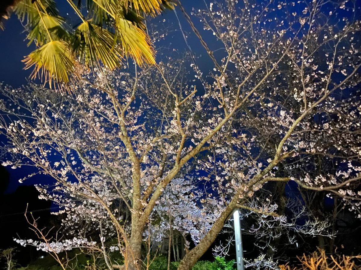 Hanamizuki Onsen Resort Ito  Ngoại thất bức ảnh