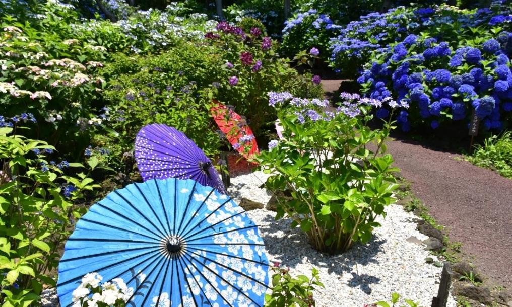 Hanamizuki Onsen Resort Ito  Ngoại thất bức ảnh